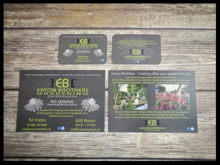 Business Cards and Fliers
