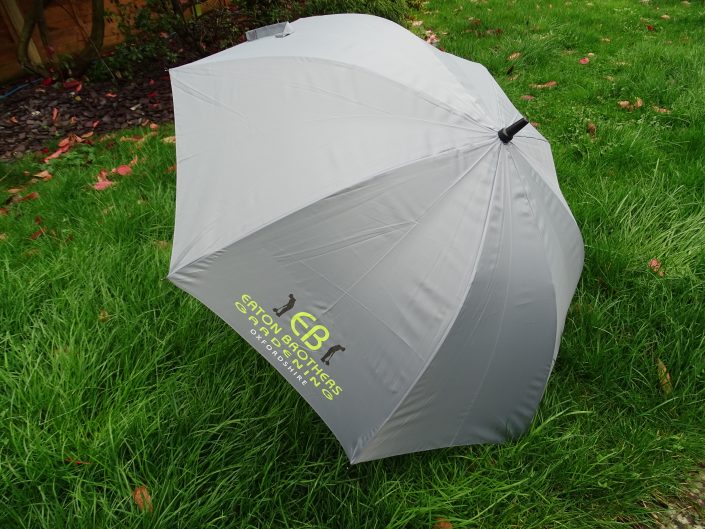 Umbrella, ella ella
